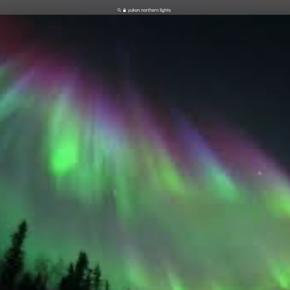 Meet your Posher, Darryl - Picture 1 of 1